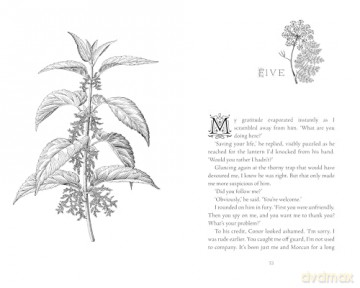 Nettle - Bex Hogan [KSIĄŻKA]