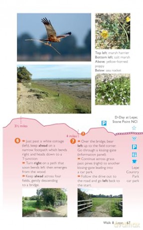 New Forest Short Walks Made Easy | Ordnance Survey | 10 Walks For Everybody | Guidebook | England | New Forest National Park | Walks | Adventure (OS Short Walks Made Easy) - Ordnance Survey [KSIĄŻKA]