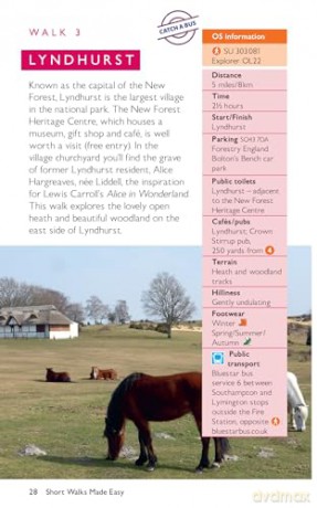 New Forest Short Walks Made Easy | Ordnance Survey | 10 Walks For Everybody | Guidebook | England | New Forest National Park | Walks | Adventure (OS Short Walks Made Easy) - Ordnance Survey [KSIĄŻKA]