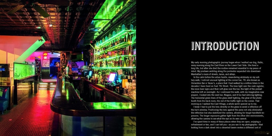 New York Bars at Dawn - Daniel Root [KSIĄŻKA]