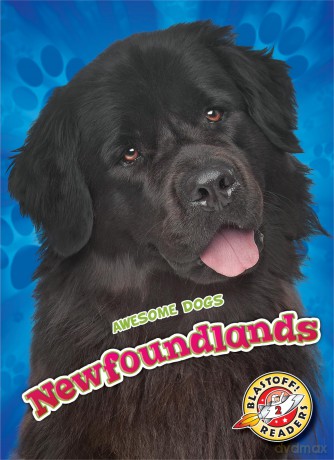 Newfoundlands (Awesome Dogs) - Nathan Sommer [KSIĄŻKA]