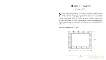 Newton's Puzzles: Science and Logic Puzzles Inspired by the Brilliance of Sir Isaac Newton (Arcturus Classic Puzzles) - Barry R. Clarke [KSIĄŻKA]