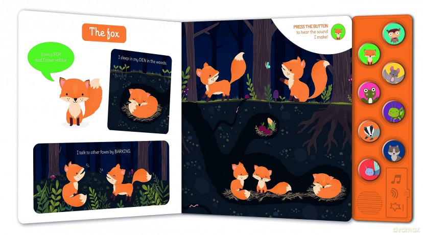 Night Animals (My First Sound Book) - Nicolas Dubois [KSIĄŻKA]