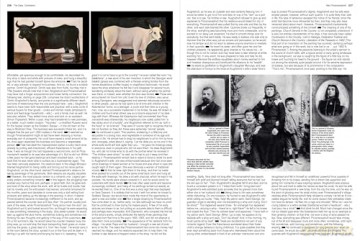 Niko Pirosmanashvili: A Study of His Life and Art - Arkady Troyanker [KSIĄŻKA]