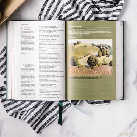 NKJV, Abide Bible, Leathersoft, Brown, Red Letter, Comfort Print: Holy Bible, New King James Version - Thomas Nelson [KSIĄŻKA]