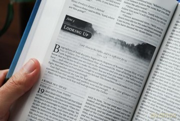 NKJV, Grace for the Moment Daily Bible, Hardcover, Comfort Print: Nkjv, Grace for the Moment Daily Bible, Comfort Print - Max Lucado [KSIĄŻKA]