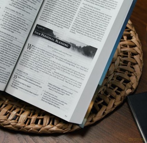 NKJV, Grace for the Moment Daily Bible, Softcover, Comfort Print: Nkjv, Grace for the Moment Daily Bible, Comfort Print - Max Lucado [KSIĄŻKA]