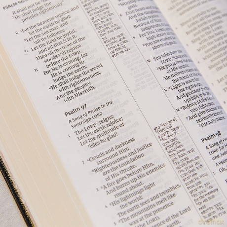 NKJV, Reference Bible, Center-Column Giant Print, Leather-Look, Burgundy, Red Letter Edition, Comfort Print Imitation Leather - Thomas Nelson [KSIĄŻKA]