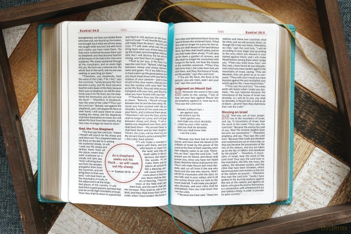 NKJV, Teen Study Bible, Leathersoft, Teal, Comfort Print: NKJV, Teal, Leathersoft, Teen Study Bible, Comfort Print - Zondervan [KSIĄŻKA]