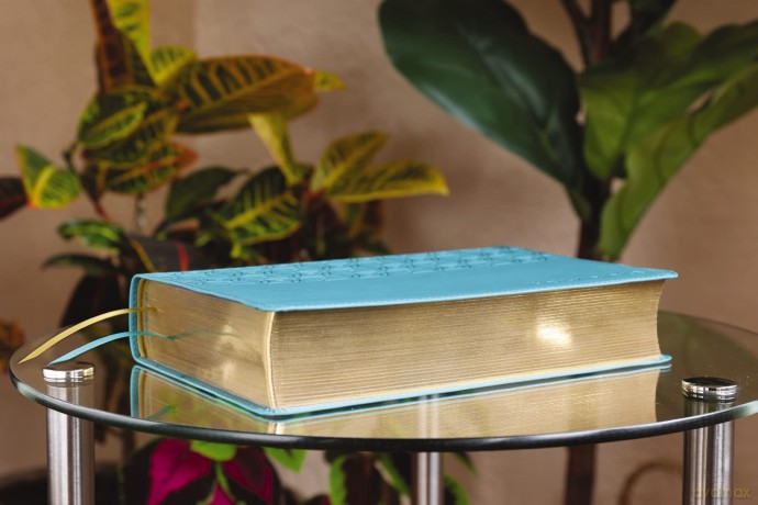 NKJV, Teen Study Bible, Leathersoft, Teal, Comfort Print: NKJV, Teal, Leathersoft, Teen Study Bible, Comfort Print - Zondervan [KSIĄŻKA]