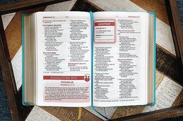 NKJV, Teen Study Bible, Leathersoft, Teal, Comfort Print: NKJV, Teal, Leathersoft, Teen Study Bible, Comfort Print - Zondervan [KSIĄŻKA]