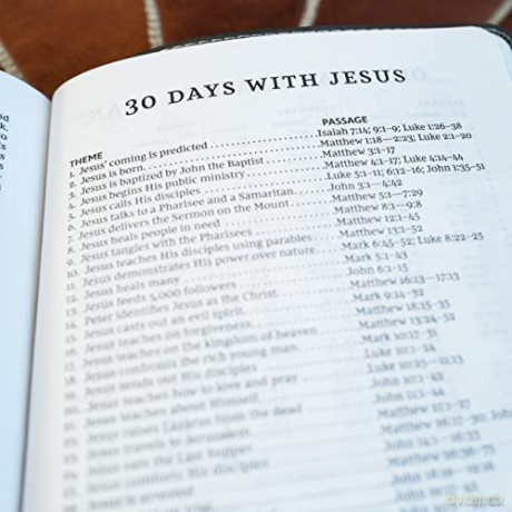 NKJV, Thinline Bible Youth Edition, Leathersoft, Gray, Red Letter, Comfort Print: Holy Bible, New King James Version - Thomas Nelson [KSIĄŻKA]