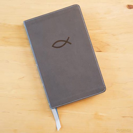 NKJV, Thinline Bible Youth Edition, Leathersoft, Gray, Red Letter, Comfort Print: Holy Bible, New King James Version - Thomas Nelson [KSIĄŻKA]