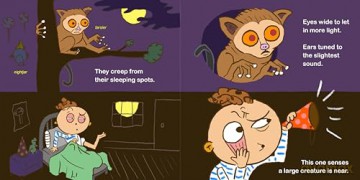 Nocturnal Nico: A Bedtime Picture Book for Night Owls - Gabe Jensen [KSIĄŻKA]