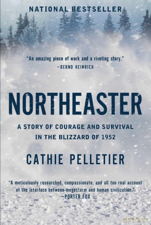 Northeaster: A Story of Courage and Survival in the Blizzard of 1952 - Cathie Pelletier [KSIĄŻKA]