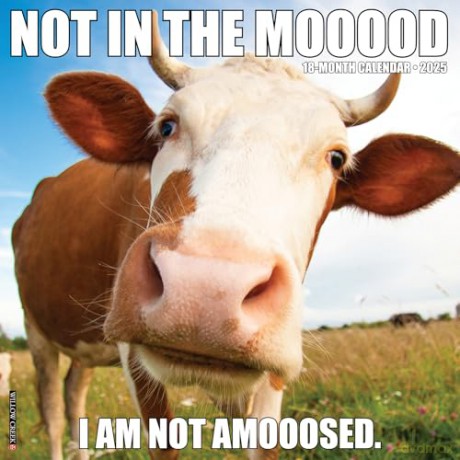 Not in the Mooood 2025 Wall [KSIĄŻKA]