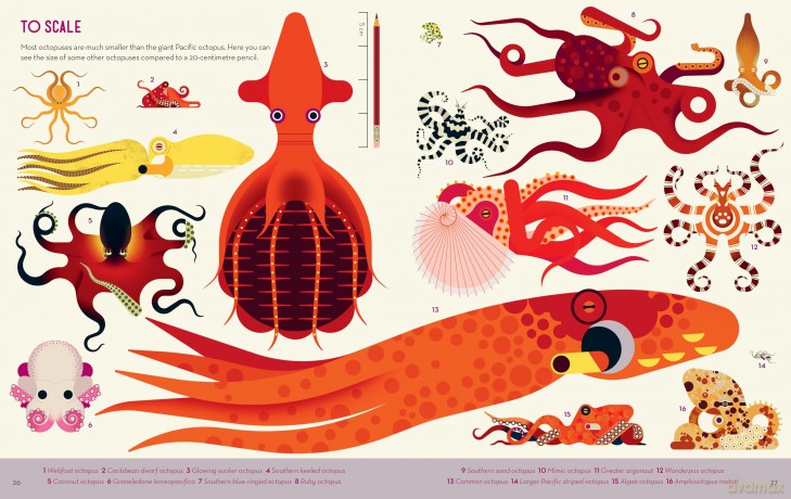 Obsessive About Octopuses (About Animals) - Davey [KSIĄŻKA]