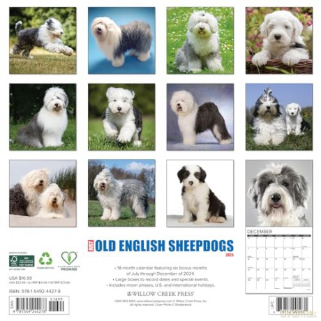 Old English Sheepdogs 2025 Wall [KSIĄŻKA]