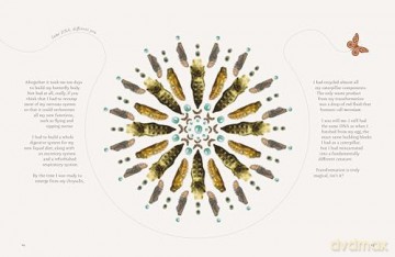 On a Butterfly's Wing: Lessons From Nature on Embracing Change - Astrid Vargas [KSIĄŻKA]
