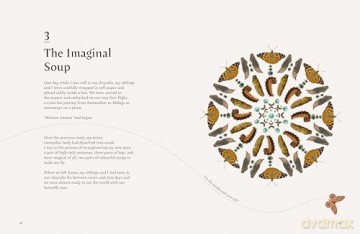 On a Butterfly's Wing: Lessons From Nature on Embracing Change - Astrid Vargas [KSIĄŻKA]