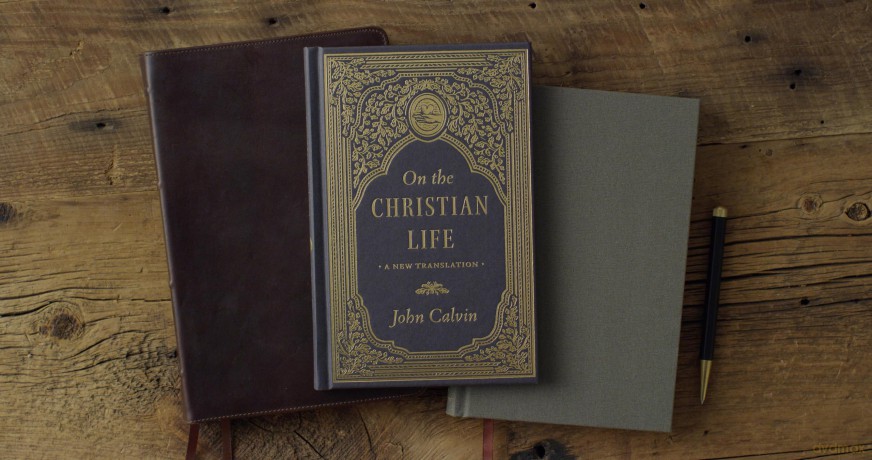On the Christian Life: A New Translation - John Calvin [KSIĄŻKA]