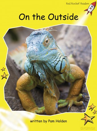 On the Outside Big Book Edition (Early Level 2 Non-Fiction Set C): Early Level 2 Non-Fiction Set C: On the Outside Big Book Edition (Reading Level 6/F&P Level D) (Red Rocket Readers) - Pam Holden [KSIĄŻKA]
