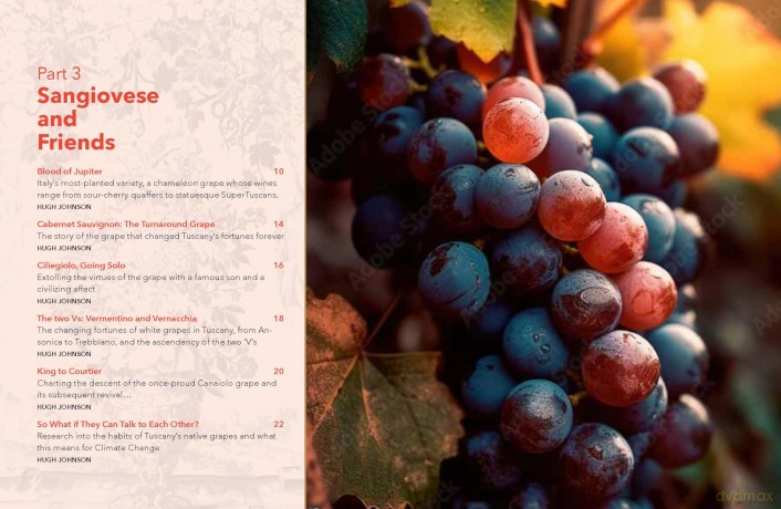 On Tuscany: From Brunello to Bolgheri, Wine Tales from the Heart of Italy - Susan Keevil [KSIĄŻKA]