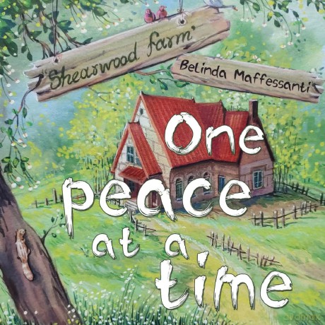 One peace at a time - Belinda Maffessanti [KSIĄŻKA]