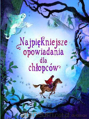 Najpiękniejsze opowiadania dla chłopców [KSĄŻKA]