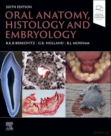 Oral Anatomy, Histology and Embryology - Barry K.B Berkovitz BDS MSc PhD FDSRCS (Eng) [KSIĄŻKA]