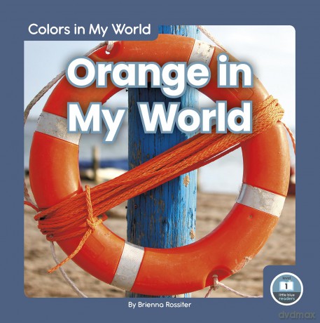 Orange in My World (Colors in My World) - Brienna Rossiter [KSIĄŻKA]