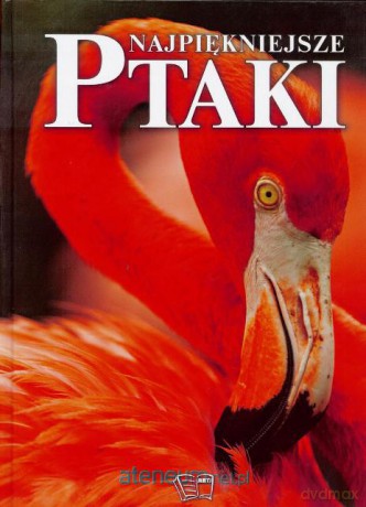 Najpiękniejsze ptaki [KSĄŻKA]