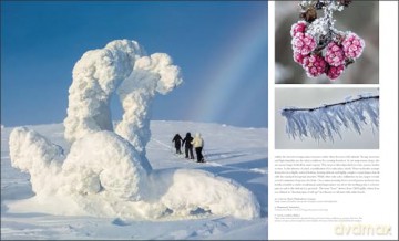 Our Frozen Planet: A Photographic Journey Through the World of Snow and Ice - Michael Hambrey [KSIĄŻKA]