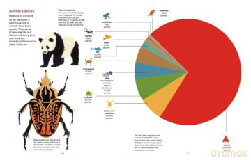 Our World: By the Numbers - Steve Jenkins [KSIĄŻKA]