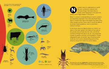 Our World: By the Numbers - Steve Jenkins [KSIĄŻKA]