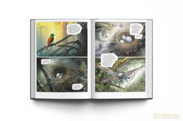 Out Side: Between Art and Hallucination - K Allado-McDowell [KOMIKS]