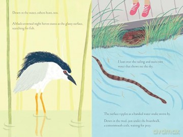 Over and Under the Wetland - Kate Messner [KSIĄŻKA]