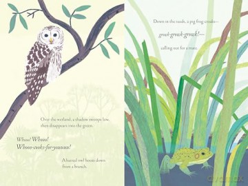 Over and Under the Wetland - Kate Messner [KSIĄŻKA]