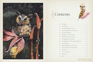 Owl Magick: Explore Our Fascinating Connections with These Birds Through Folklore and Magickal Traditions - Rieka Moonsong [KSIĄŻKA]
