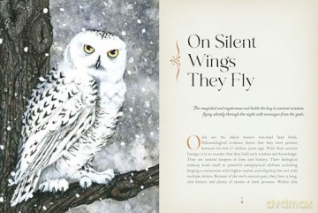 Owl Magick: Explore Our Fascinating Connections with These Birds Through Folklore and Magickal Traditions - Rieka Moonsong [KSIĄŻKA]