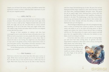 Owl Magick: Explore Our Fascinating Connections with These Birds Through Folklore and Magickal Traditions - Rieka Moonsong [KSIĄŻKA]