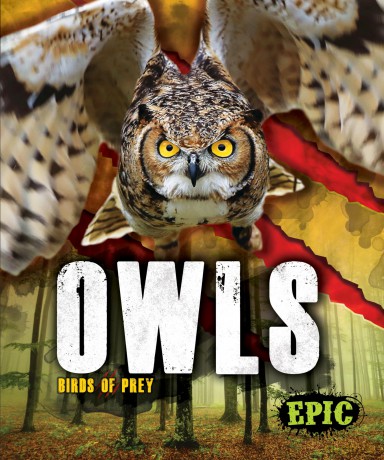 Owls (Birds of Prey) - Nathan Sommer [KSIĄŻKA]