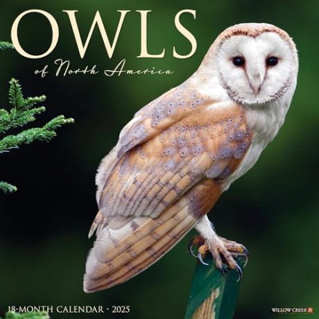 Owls 2025 Wall [KSIĄŻKA]
