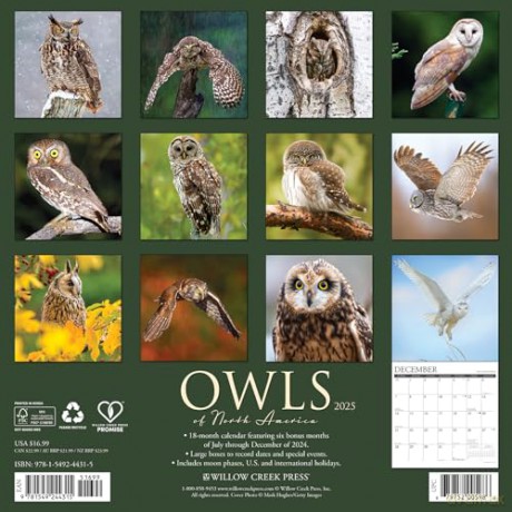 Owls 2025 Wall [KSIĄŻKA]