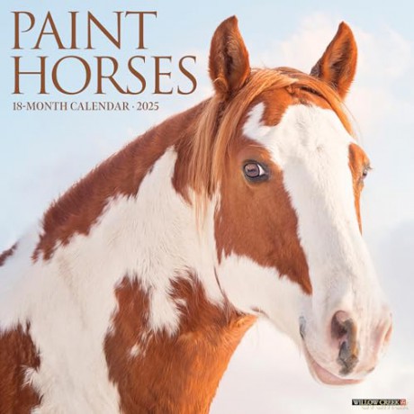 Paint Horses 2025 Wall [KSIĄŻKA]