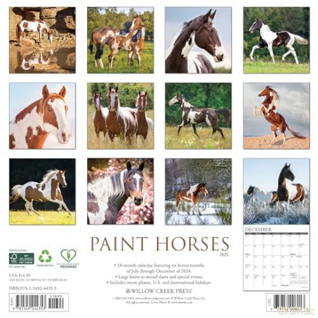 Paint Horses 2025 Wall [KSIĄŻKA]