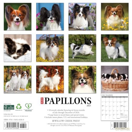 Papillons 2025 Wall [KSIĄŻKA]