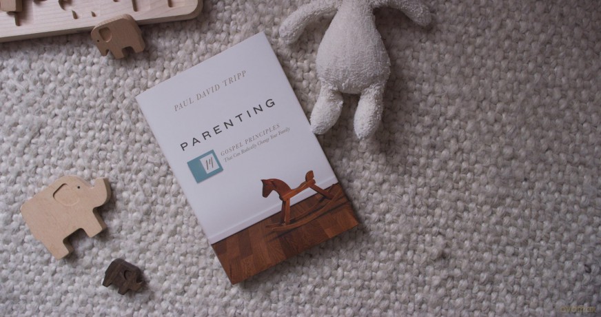 Parenting: 14 Gospel Principles That Can Radically Change Your Family (with Study Questions) - Paul David Tripp [KSIĄŻKA]