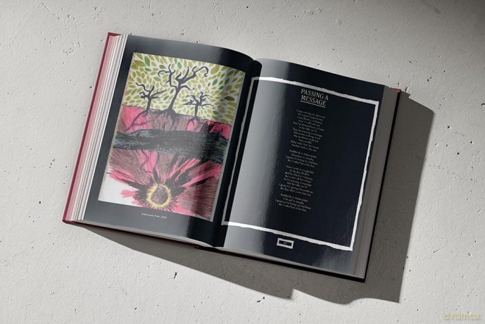 Passing a Message: The lyrics and artwork of Conor J. O'Brien, for the music of Villagers - Conor J. O'Brien [KSIĄŻKA]
