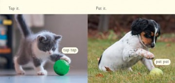 Pat, Pat: Phase 2 Set 2 (Big Cat Phonics for Little Wandle Letters and Sounds Revised) - Helen Dineen [KSIĄŻKA]